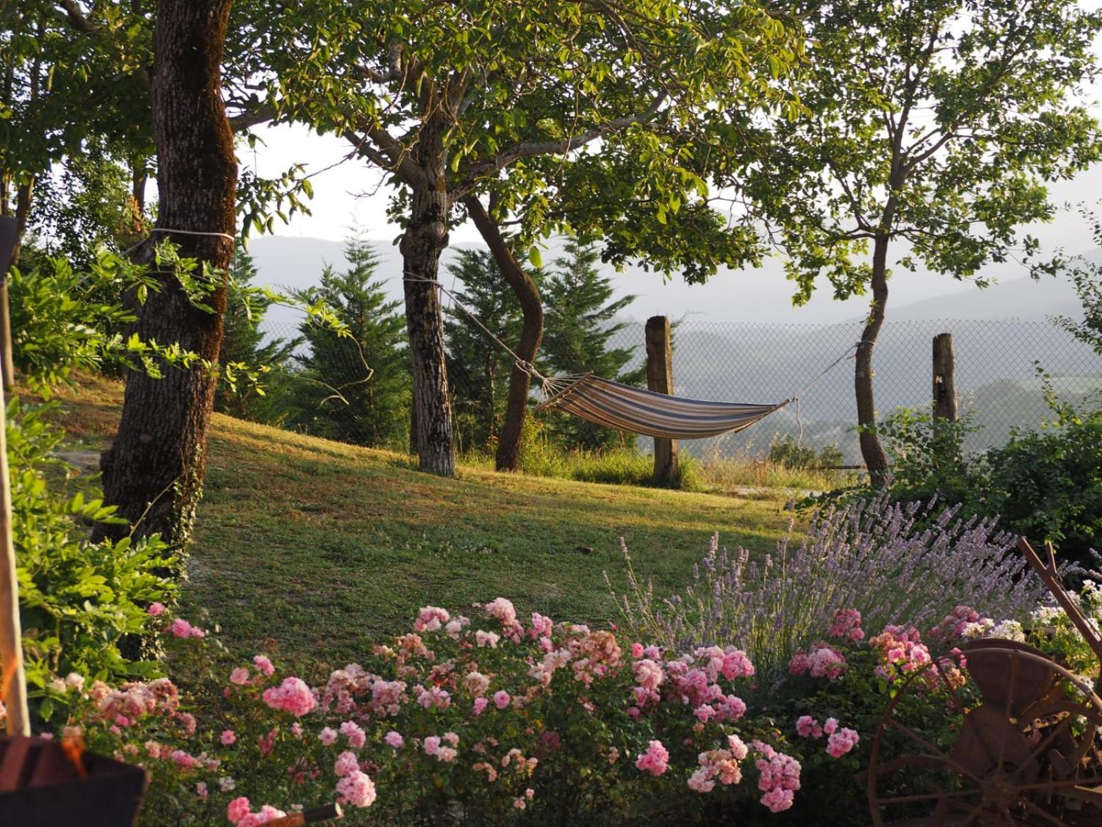 Agriturismo Il Castellaro Sassoferrato Bagian luar foto