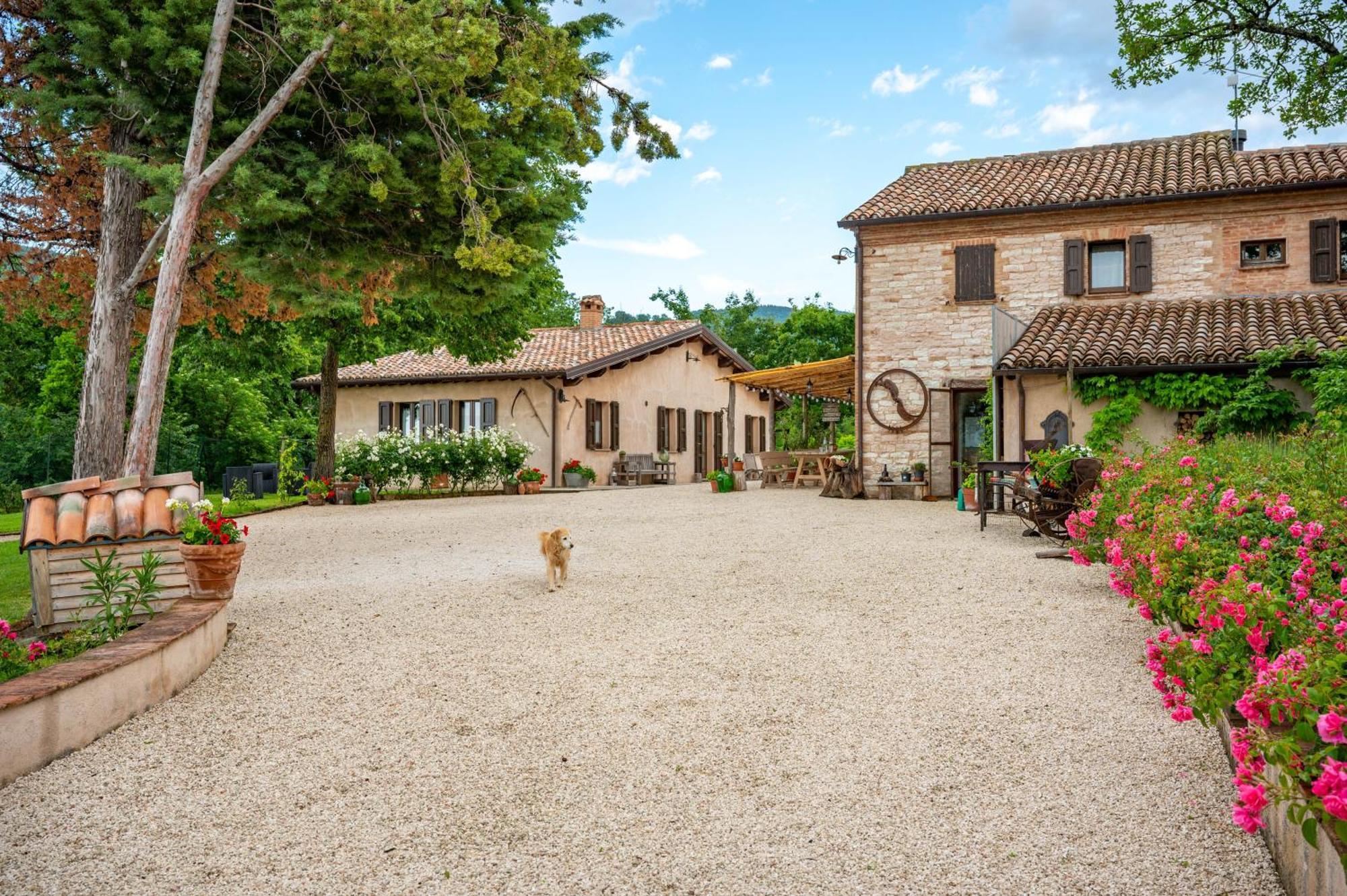 Agriturismo Il Castellaro Sassoferrato Bagian luar foto