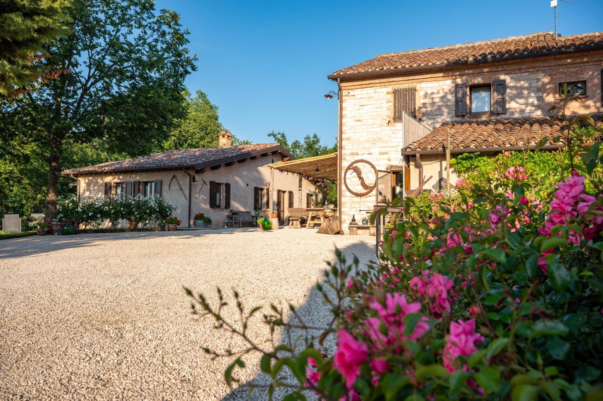 Agriturismo Il Castellaro Sassoferrato Bagian luar foto